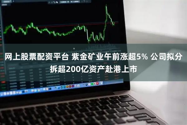 网上股票配资平台 紫金矿业午前涨超5% 公司拟分拆超200亿资产赴港上市