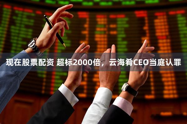 现在股票配资 超标2000倍，云海肴CEO当庭认罪
