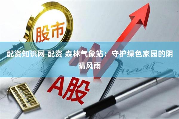 配资知识网 配资 森林气象站：守护绿色家园的阴晴风雨