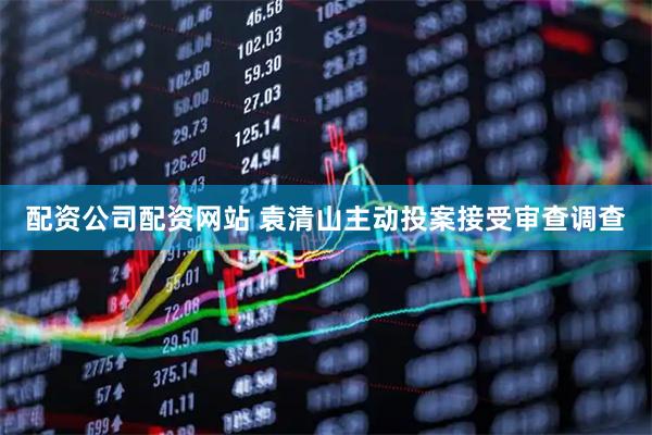 配资公司配资网站 袁清山主动投案接受审查调查